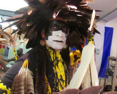 plumes d'oie