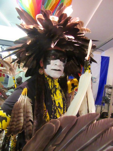 plumes d'oie