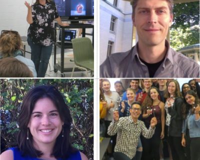 teaching excellence 2017