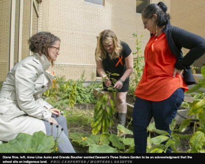 Lire le texte intégral : Le jardin des Trois Soeurs est considéré comme un lieu d'apprentissage et de partage