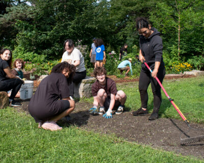 Read more about: Peace Garden revived thanks to Phys. Ed. students