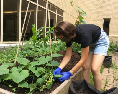 working in garden