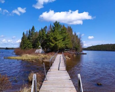 View from a boardwalk