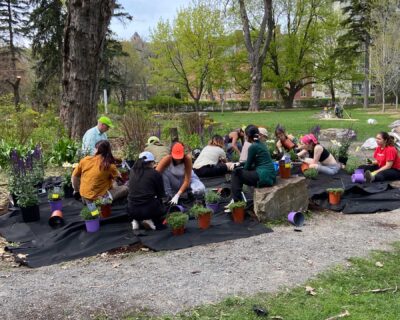 Students planting on campus grounds