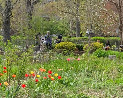 Flowers and distant students on campus grounds