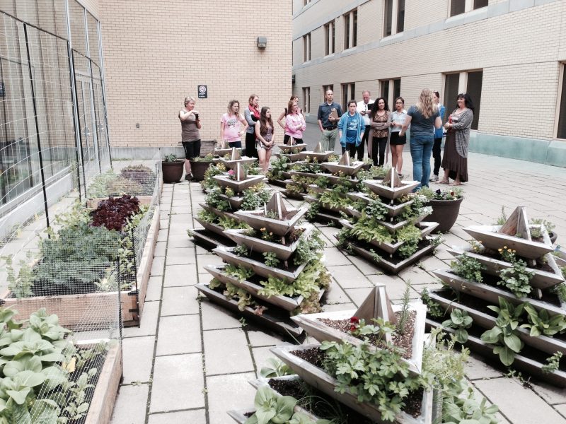 Dawson students and staff at a rooftop garden workshop