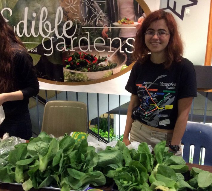 DAWSON GARDENS 2016