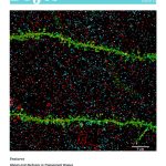 DrJes-14.pdf