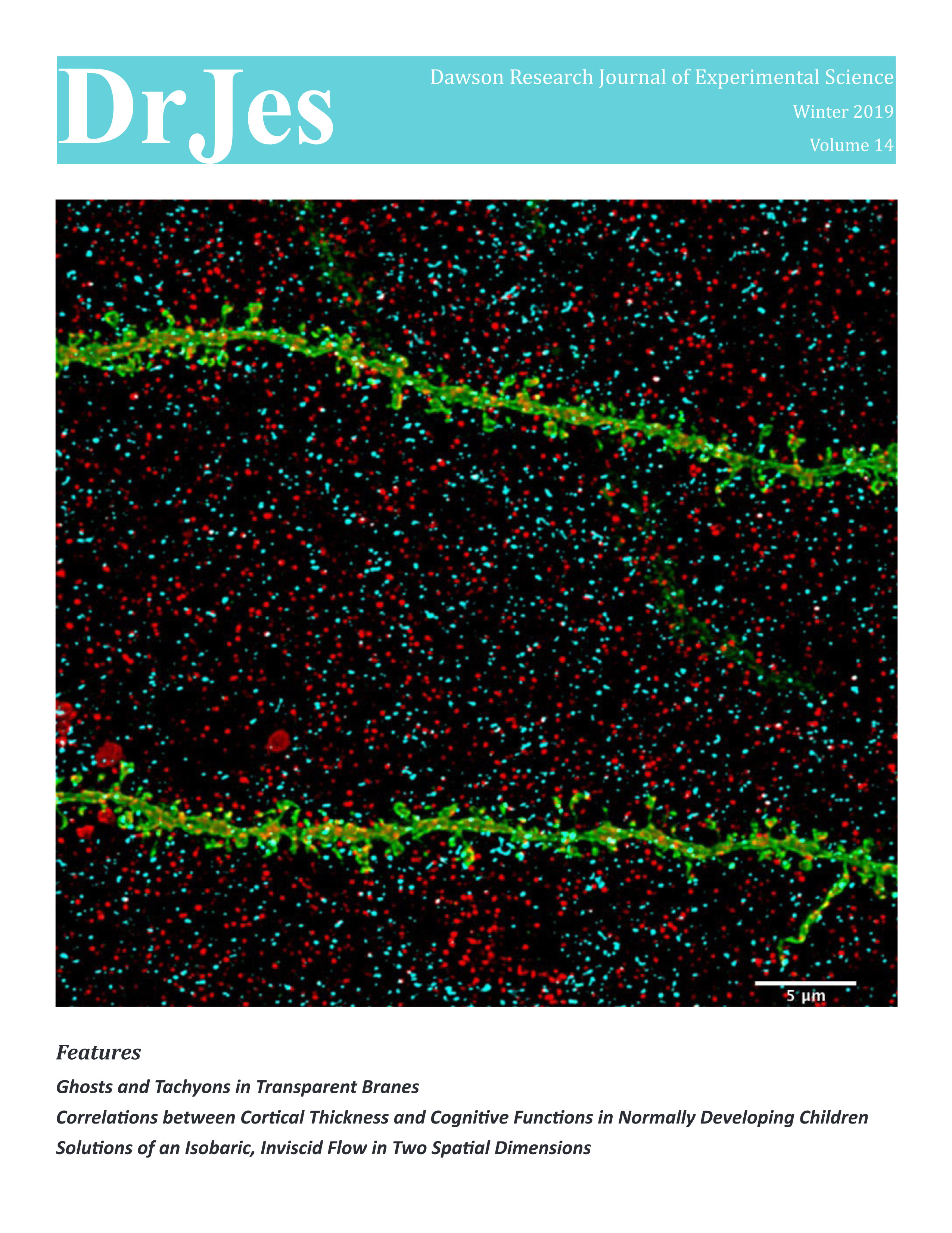 DrJes-14.pdf