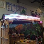 Madagascar Kiosk 2018
