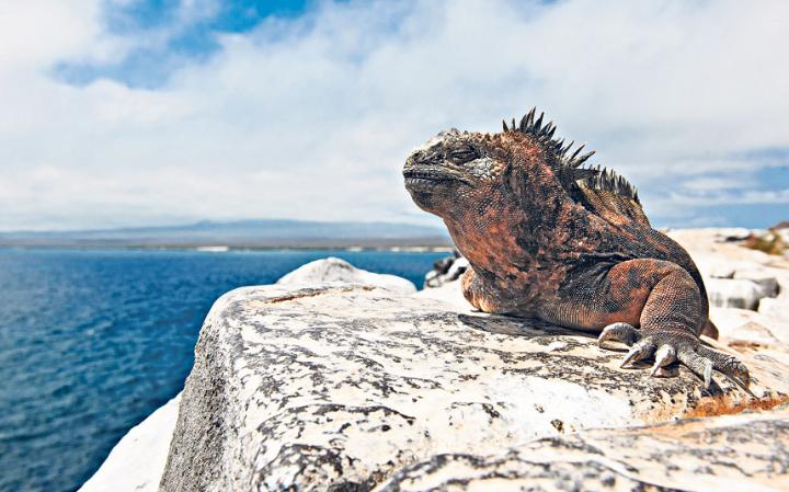 Galapagos Ecology Trip