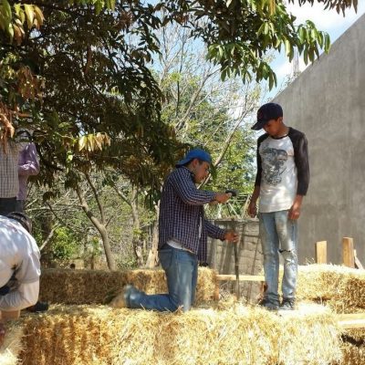 2 men working in hay