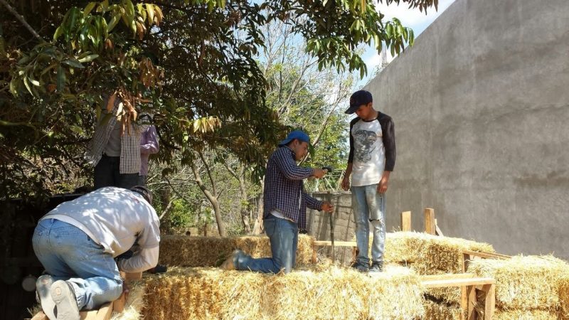 2 hommes travaillant dans le foin