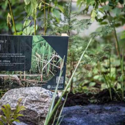 Dawson College - Biodiversity Days-80