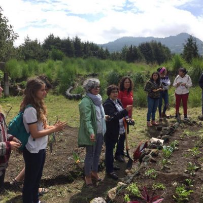 Read Full Text: Rescate de conocimientos tradicionales en el uso de plantas medicinales: Prácticas de ayer para sostener el hoy