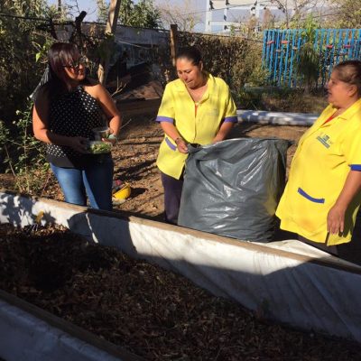composta upn cuernavaca 2