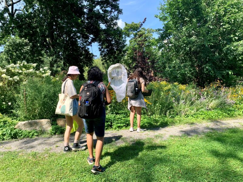 Students on Campus Grounds