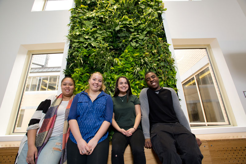 Collaboration room - living wall