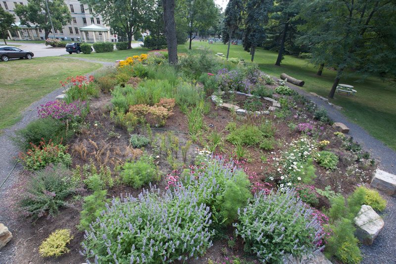 Jardin de la paix