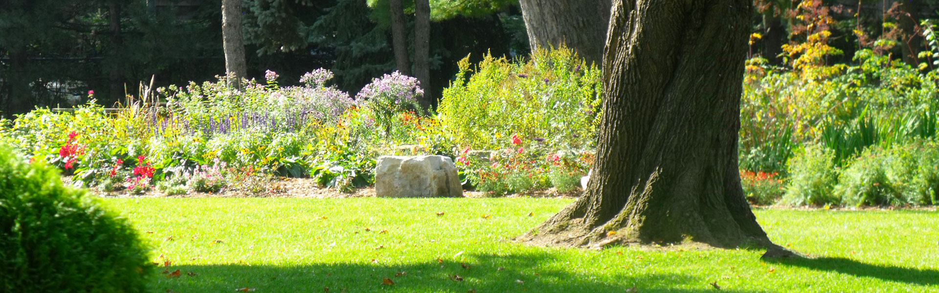site banner image