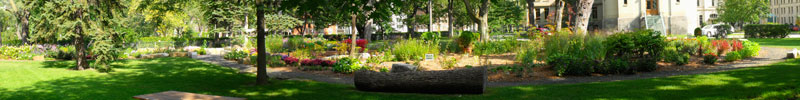 Peace Garden