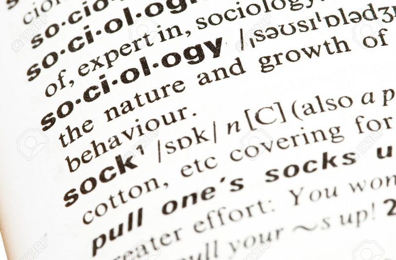 the word sociology in a dictionary