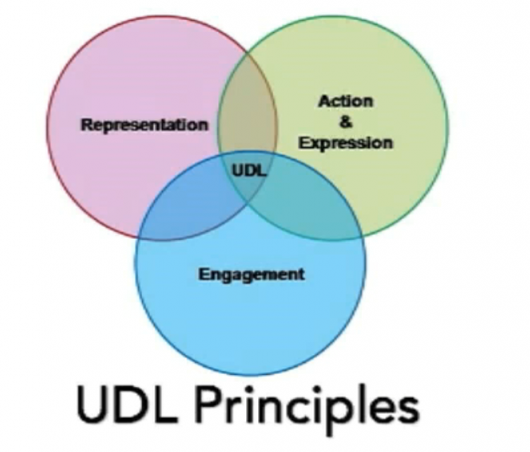 chantale UDL representation